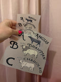 abc cow pocket tee